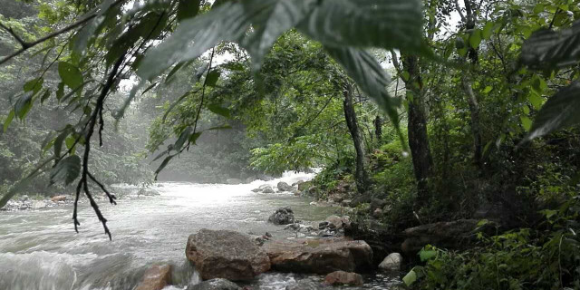 澳納森愿世間山河如同“云深不知處一般美麗”